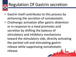 Regulation Of Gastrin secretion
• Gastrin itself contributes to this process by
enhancing the secretion of somatostatin.
• Cholinergic activation after gastric distention
or in response to a meal promotes acid
secretion by shifting the balance of
stimulatory and inhibitory mechanisms
toward the stimulatory side, directly activating
the parietal cell and stimulating gastrin
release while suppressing somatostatin
release.
 