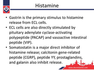 Histamine
• Gastrin is the primary stimulus to histamine
release from ECL cells.
• ECL cells are also directly stimulated by
pituitary adenylate cyclase-activating
polypeptide (PACAP) and vasoactive intestinal
peptide (VIP).
• Somatostatin is a major direct inhibitor of
histamine release; calcitonin gene-related
peptide (CGRP), peptide YY, prostaglandins,
and galanin also inhibit release.
 