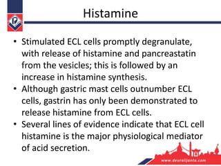 Histamine
• Stimulated ECL cells promptly degranulate,
with release of histamine and pancreastatin
from the vesicles; this is followed by an
increase in histamine synthesis.
• Although gastric mast cells outnumber ECL
cells, gastrin has only been demonstrated to
release histamine from ECL cells.
• Several lines of evidence indicate that ECL cell
histamine is the major physiological mediator
of acid secretion.
 