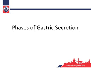 Phases of Gastric Secretion
 