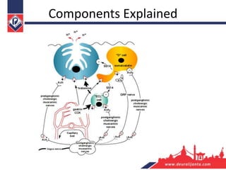 Components Explained
 