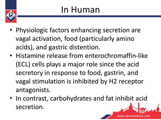 In Human
• Physiologic factors enhancing secretion are
vagal activation, food (particularly amino
acids), and gastric distention.
• Histamine release from enterochromaffin-like
(ECL) cells plays a major role since the acid
secretory in response to food, gastrin, and
vagal stimulation is inhibited by H2 receptor
antagonists.
• In contrast, carbohydrates and fat inhibit acid
secretion.
 