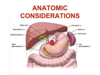 ANATOMIC
CONSIDERATIONS
 