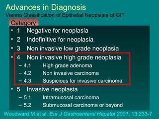 Vienna Classification Colours Gastric cancer | PPT