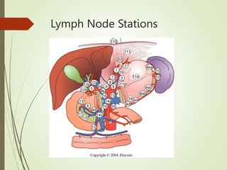 Lymph Node Stations
 