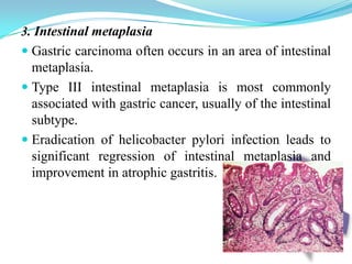 Gross PathologyAmr Maher Basiony	733Amr Mohamed Helmy	734
