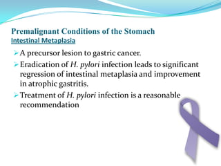 	Occur exclusively in the gastric corpus