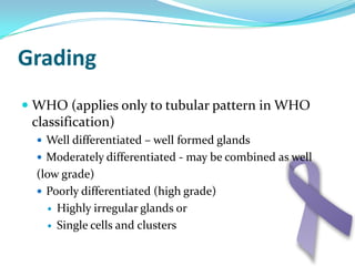 Environmental (involving multiple random areas at the junction of the oxyntic and antral mucosa)Premalignant Conditions of the StomachIntestinal MetaplasiaA precursor lesion to gastric cancer. 