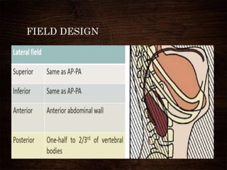 FIELD DESIGN
 