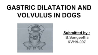 GASTRIC DILATATION AND
VOLVULUS IN DOGS
Submitted by :
B.Sangeetha
KV/19-007
 