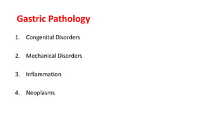 Gastric Pathology
1. Congenital Disorders
2. Mechanical Disorders
3. Inflammation
4. Neoplasms
 