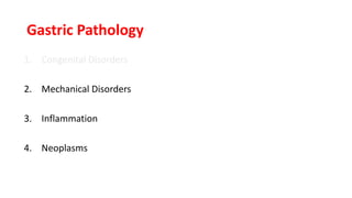 Gastric Pathology
1. Congenital Disorders
2. Mechanical Disorders
3. Inflammation
4. Neoplasms
 