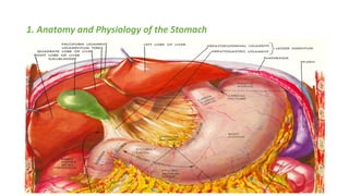 1. Anatomy and Physiology of the Stomach
 