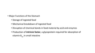 • Major Functions of the Stomach
• Storage of ingested food
• Mechanical breakdown of ingested food
• Disruption of chemical bonds in food material by acid and enzymes
• Production of intrinsic factor, a glycoprotein required for absorption of
vitamin B12
in small intestine
 