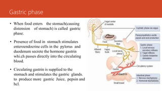 Gastric phase
• When food enters the stomach(causing
distension of stomach) is called gastric
phase.
• Presence of food in stomach stimulates
enteroendocrine cells in the pylorus and
duodenum secrete the hormone gastrin
whi.ch passes directly into the circulating
blood.
• Circulating gastrin is supplied to the
stomach and stimulates the gastric glands.
to produce more gastric Juice, pepsin and
hcl.
 