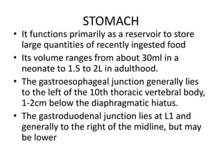 STOMACH 
• It functions primarily as a reservoir to store 
large quantities of recently ingested food 
• Its volume ranges from about 30ml in a 
neonate to 1.5 to 2L in adulthood. 
• The gastroesophageal junction generally lies 
to the left of the 10th thoracic vertebral body, 
1-2cm below the diaphragmatic hiatus. 
• The gastroduodenal junction lies at L1 and 
generally to the right of the midline, but may 
be lower 
 