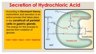 GASTRIC SECRETION Dr Shridhar Savadatti.pptx