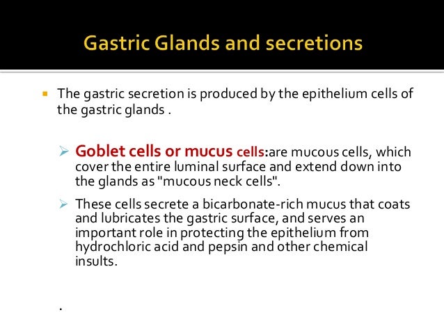 Gastric Secretion And Its Regulation