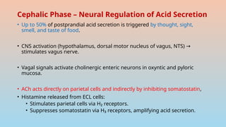 Comprehensive Overview of Gastric Secretion and Regulation Mechanisms ...
