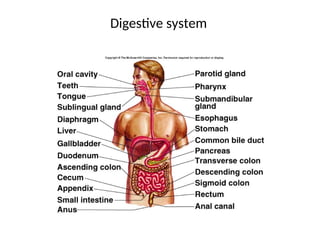 Secretions Example Gastric_secretions presentation free donload.ppt