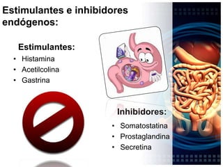 Periodo DigestivoFase psíquica o cefálica: Pensamiento, visión, olfato, gustación, deglución de alimentoFase GástricaProteína, cafeína, alcohol y distención antral.Fase intestinal o inhibitoria.