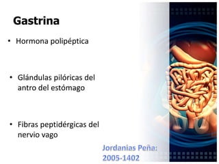 Luz Baldera: 2007-2213