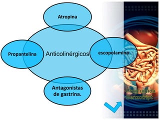 Proteína G      (G-2)HistaminaReceptor H-2Adenilciclasa    ATP citosớlicoFluido canalicularH⁺ + Cl-AMP cíclicoCELULAPiProteínaK⁺Estimula Proteíno-QuinasaBomba de protones    (H⁺, K⁺ ATP-asa)Cl-: Sale por un gradiente de concentración junto al H+.