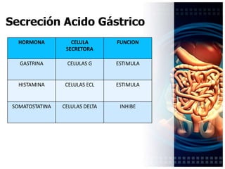 Inhibidores exógenos:
