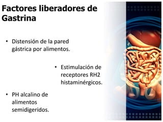 Anirys Estévez: 2007-0110