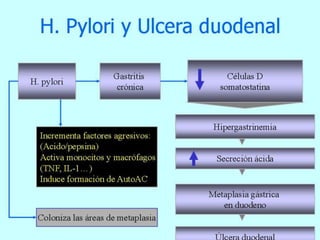 DonaldAccilien2006-0836Trastornos relacionados con la gastrina