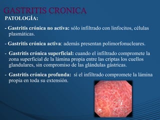 PATOLOGÍA:
- Gastritis crónica no activa: sólo infiltrado con linfocitos, células
plasmáticas.
- Gastritis crónica activa: además presentan polimorfonucleares.
- Gastritis crónica superficial: cuando el infiltrado compromete la
zona superficial de la lámina propia entre las criptas los cuellos
glandulares, sin compromiso de las glándulas gástricas.
- Gastritis crónica profunda: sí el infiltrado compromete la lámina
propia en toda su extensión.
 