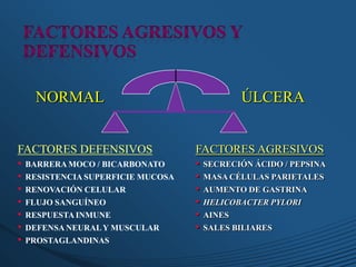 ÚLCERANORMAL
FACTORES AGRESIVOS
• SECRECIÓN ÁCIDO / PEPSINA
• MASA CÉLULAS PARIETALES
• AUMENTO DE GASTRINA
• HELICOBACTER PYLORI
• AINES
• SALES BILIARES
FACTORES DEFENSIVOS
• BARRERA MOCO / BICARBONATO
• RESISTENCIA SUPERFICIE MUCOSA
• RENOVACIÓN CELULAR
• FLUJO SANGUÍNEO
• RESPUESTA INMUNE
• DEFENSA NEURALY MUSCULAR
• PROSTAGLANDINAS
 
