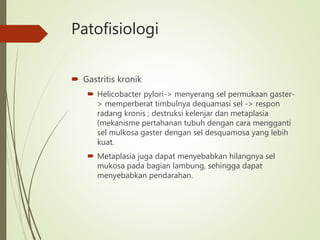 Patofisiologi
 Gastritis kronik
 Helicobacter pylori-> menyerang sel permukaan gaster-
> memperberat timbulnya dequamasi sel -> respon
radang kronis ; destruksi kelenjar dan metaplasia
(mekanisme pertahanan tubuh dengan cara mengganti
sel mulkosa gaster dengan sel desquamosa yang lebih
kuat.
 Metaplasia juga dapat menyebabkan hilangnya sel
mukosa pada bagian lambung, sehingga dapat
menyebabkan pendarahan.
 