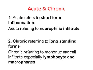 Acute & Chronic
 1. Acute refers to short term
inflammation.
 Acute refering to neurophilic infiltrate
 2. Chronic referring to long standing
forms
 Chronic referring to mononuclear cell
infiltrate especially lymphocyte and
macrophages
 
