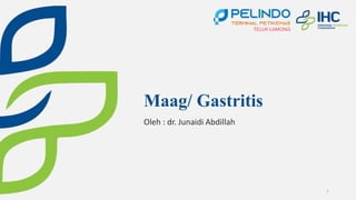 Maag/ Gastritis
Oleh : dr. Junaidi Abdillah
1
 