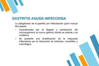 GASTRITIS AGUDA INFECCIOSA
La patogénesis de la gastritis por Helicobacter pylori incluye
dos etapas:
1. Caracterizada por la llegada y penetración del
microorganismo al mucus gástrico donde se asiente y se
multiplica.
2. Se presente una amplificación de la respuesta
inflamatoria por la interacción de linfocitos, neutrófilos y
macrófagos.
 