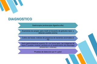 DIAGNOSTICO
Gastrocopia (endoscopia digestiva alta)
Examenes de sangre: para medir el recuento de globulos rojos y
detectar posible anemia
Cultivo de heces: indicios de presencia de bacterias anormales el
TD
Serie gastrointestinal superior GI: con toma bario, las imágenes de
rayos X pueden mostrar cambios en el revestimiento del estomago
(erosiones o ulceras)
Pruebas de deteccion por H. pylori
 