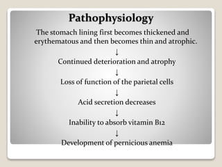 The stomach lining first becomes thickened and
erythematous and then becomes thin and atrophic.
↓
Continued deterioration and atrophy
↓
Loss of function of the parietal cells
↓
Acid secretion decreases
↓
Inability to absorb vitamin B12
↓
Development of pernicious anemia
Pathophysiology
 
