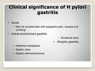 Clinical significance of H pylori
gastritis
• Acute
– May be symptomatic with epigastric pain, nausea and
vomiting
• Antral predominant gastritis
– Duodenal ulcer
• Atrophic gastritis
– Intestinal metaplasia
– Gastric ulcer
– Gastric adenocarcinoma
 