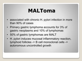MALToma
• associated with chronic H. pylori infection in more
than 90% of cases
• Primary gastric lymphoma accounts for 3% of
gastric neoplasms and 10% of lymphomas
• 50% of gastric lymphomas are MALT
• H. pylori induces mucosal inflammatory reaction,
lymphoid follicles -> B cell monoclonal cells ->
autonomous uncontrolled growth
 