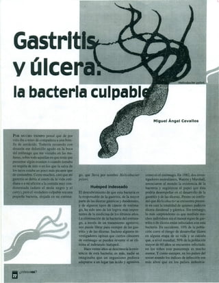 Gastritis y úlcera: la bacteria culpable, miguel ángel ceballos