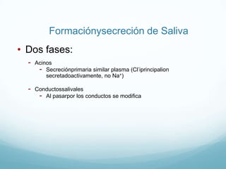 Salivales, pancreas ehígadoControl de secrecionesLocal - táctil, distensión, irritación. (S.N.E)