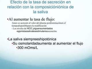 Parasimpático	- secreciones