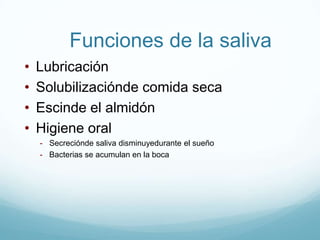 Composición de moco - PropiedadesSecrecióndensaformadaporaguaelectrolitosyglucoproteinasEsencialpara la digestión:Adherente	  - Pega el alimentoConsistencia	  -     Evitacontacto mucosaPocaFricción-    FacilitamovimientoAdherente fecal- MasafecalResistente a digestionCapacidad Buffer  - Propiedadanfotérica