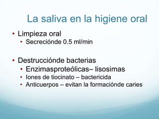 Saliva2tipos de secreciones