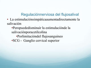  Mucosa- contienemucina - lubricación