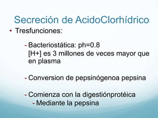 Secreciónprimaria similar plasma (Cl-iprincipalion secretadoactivamente, no Na+)