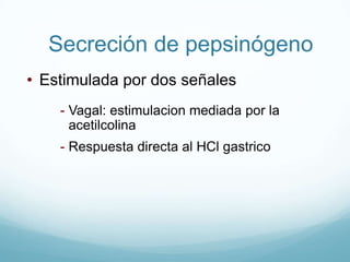 Na+	-   0.1 x plasma 	(15 mEq/L)