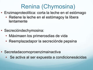 Cl-        	-   0.15 x plasma (15 mEq/L)