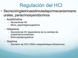 Saliva eshipotónicaEfecto de la tasa de secreción en relación con la composicióniónica de la salivaAl aumentar la tasa de flujo: